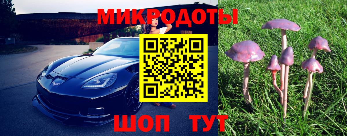 Галлюциногенные грибы прущие грибы  Вход с VPN  где можно купить   Псилоцибиновые грибы мицелий  Сертолово 